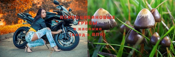 дистиллят марихуана Белокуриха