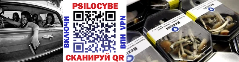 Псилоцибиновые грибы Psilocybe Няндома